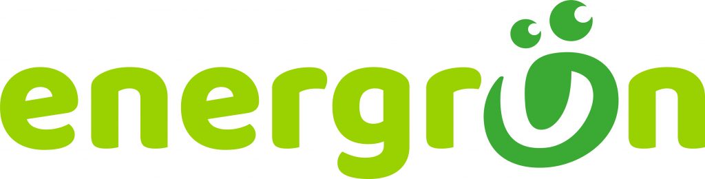 This image has an empty alt attribute; its file name is energruen_logo_rgb_gruen-3-1024x260.jpg